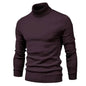 Men's Plain Slim Pullover Polo Sweatshirt Turtleneck Sweater Winter Casual Tops Men - www.Shopthatapp.com