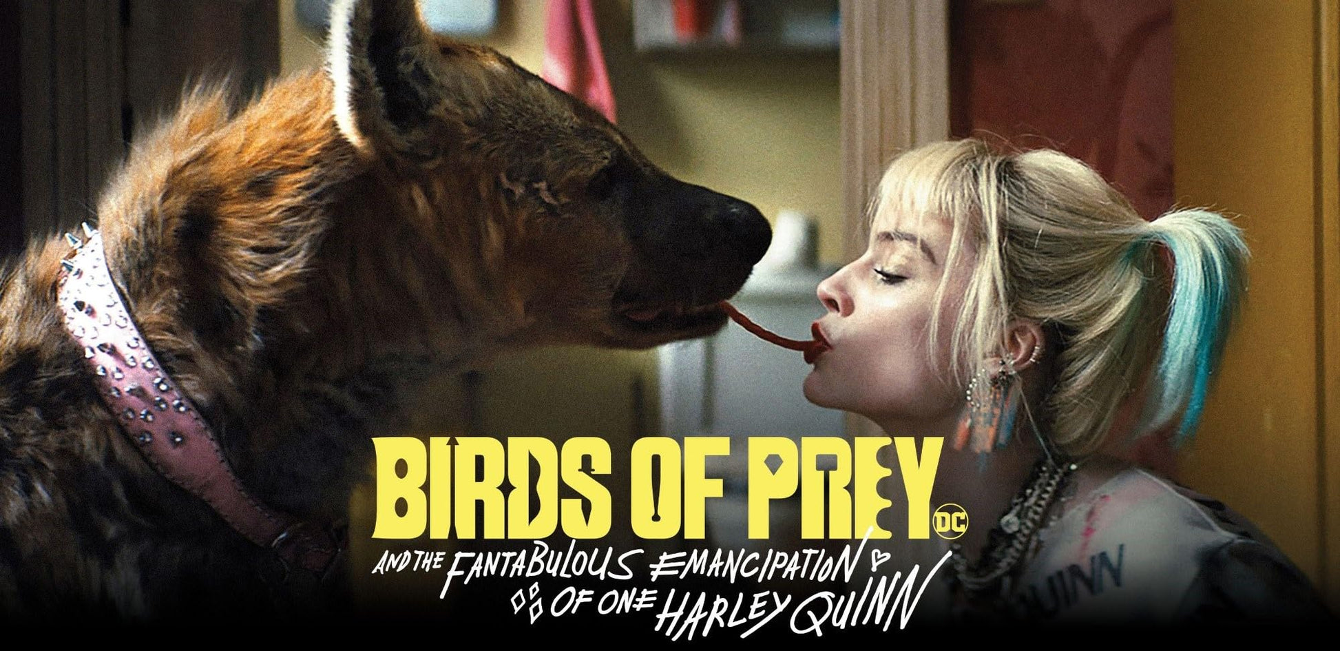 Birds of Prey (BIL/DVD + Digital combo Pack / Blu-ray) - www.Shopthatapp.com
