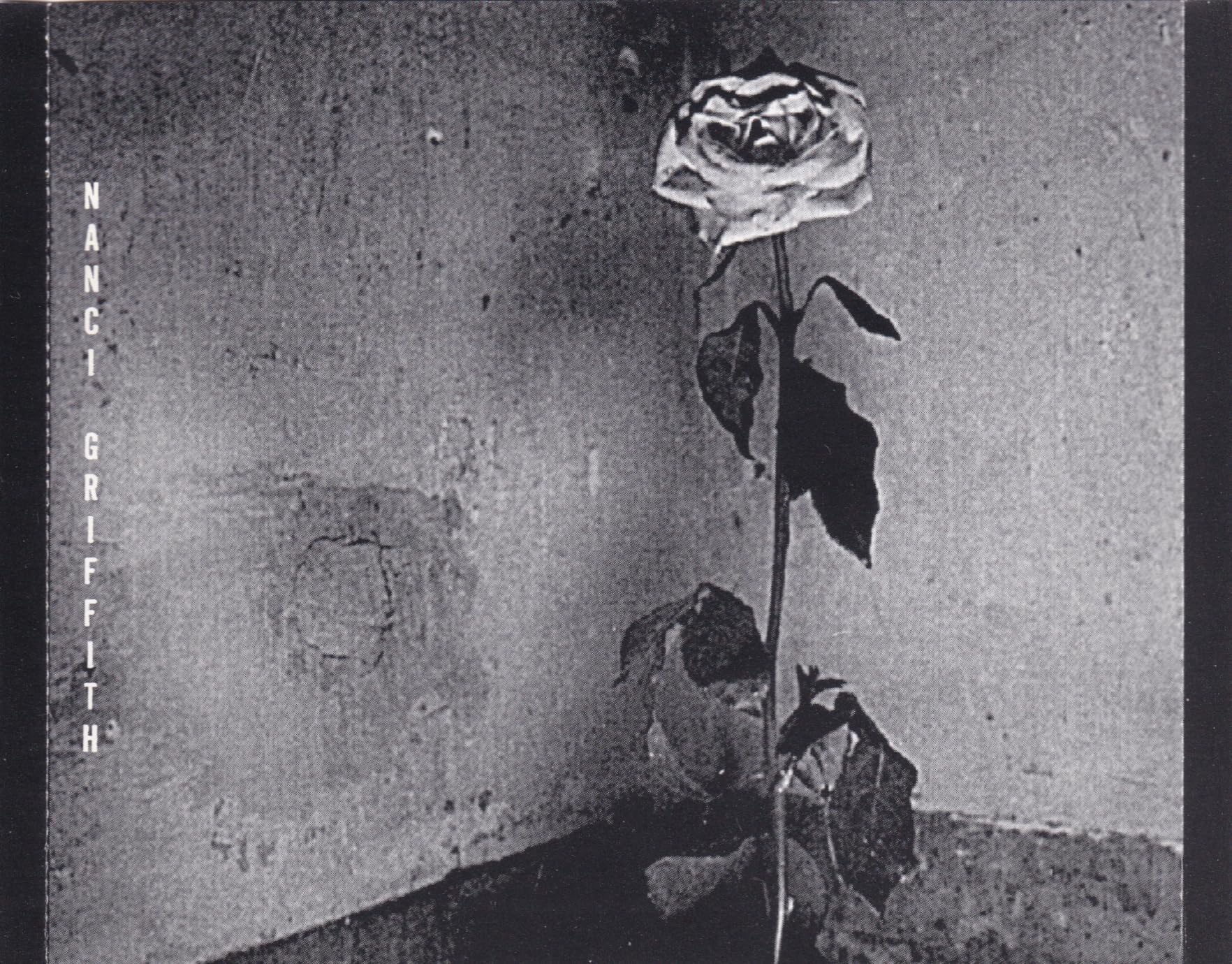 Blue Roses From the Moons - www.Shopthatapp.com