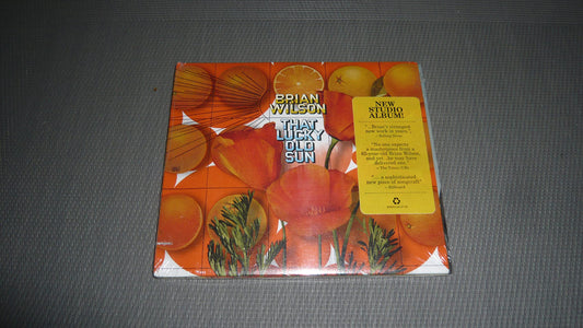 BRIAN WILSON - THAT LUCKY OLD SUN - www.Shopthatapp.com