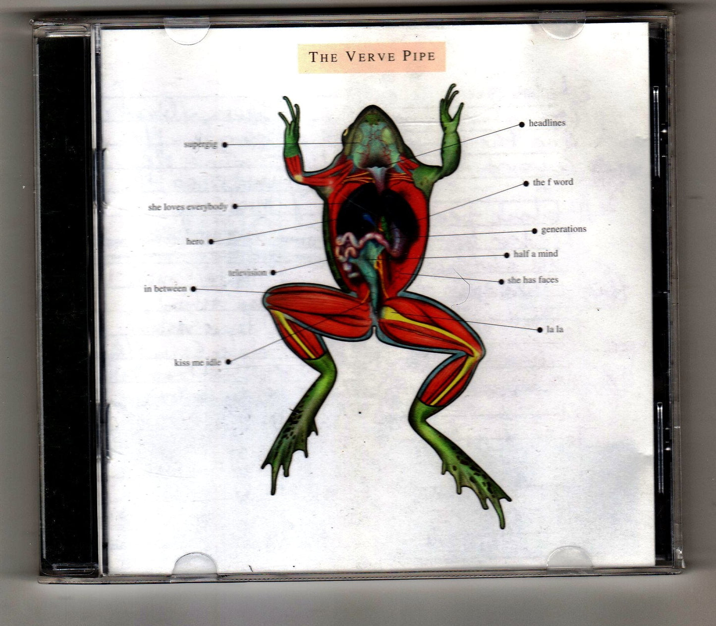 Verve Pipe - www.Shopthatapp.com