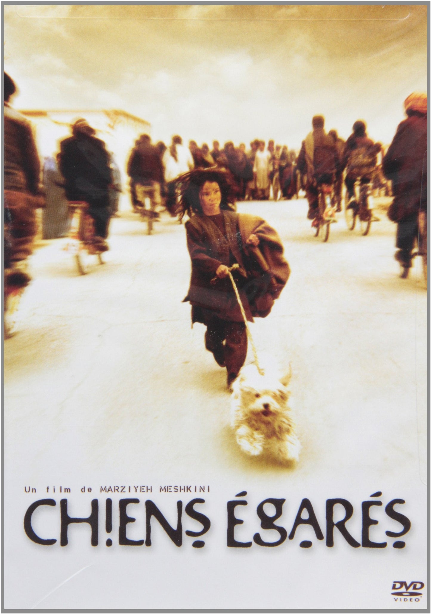 Chiens Égarés (Version française) - www.Shopthatapp.com