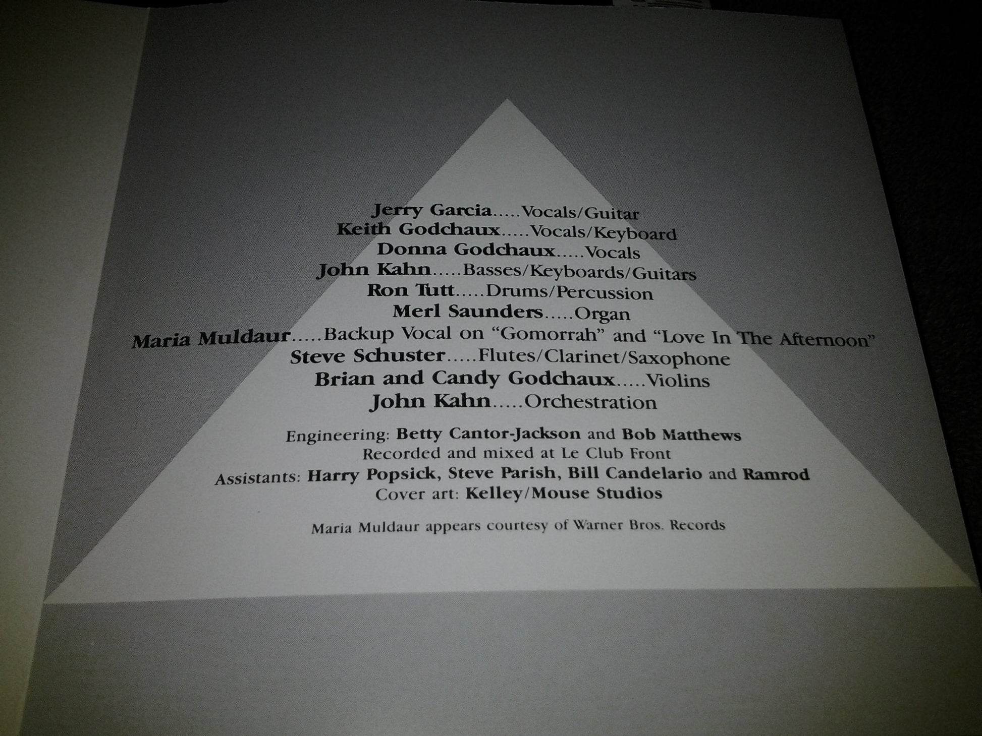 Cats Under The Stars - www.Shopthatapp.com