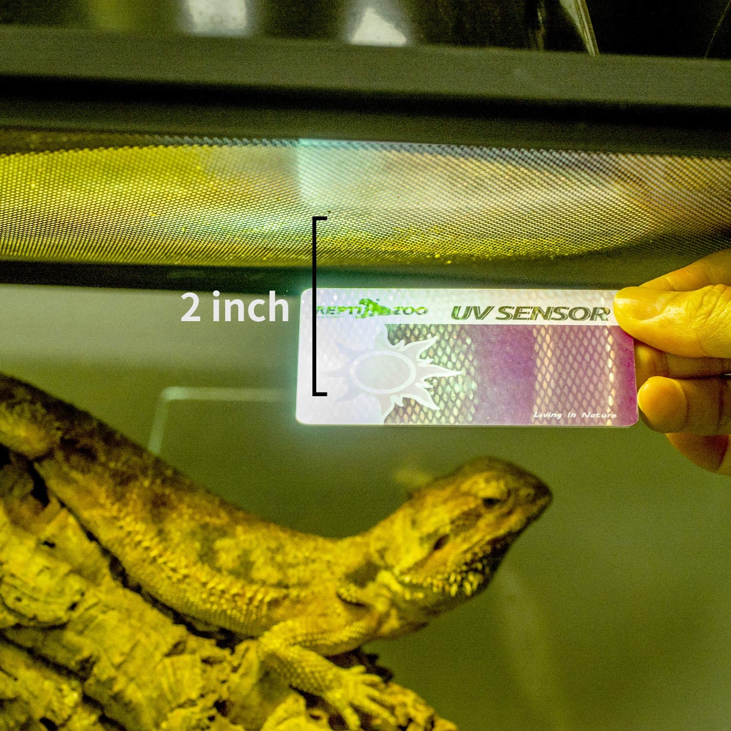 Carte de test de capteur UV REPTIZOO 2 pièces