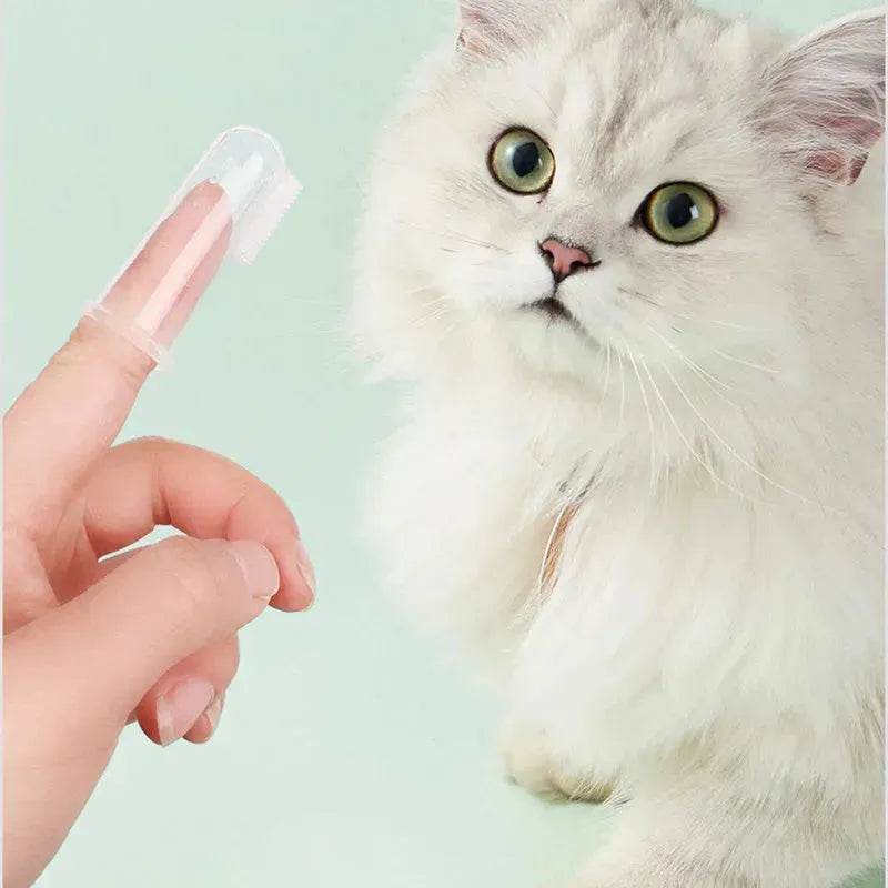 Buy 3pcs Pet Oral Care Kit Dog Cat Dental Care - www.Shopthatapp.com