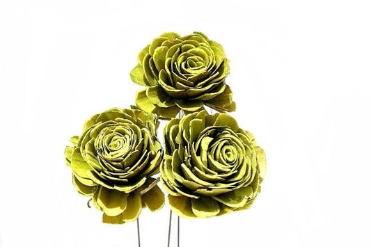 Sola Roses Grandes