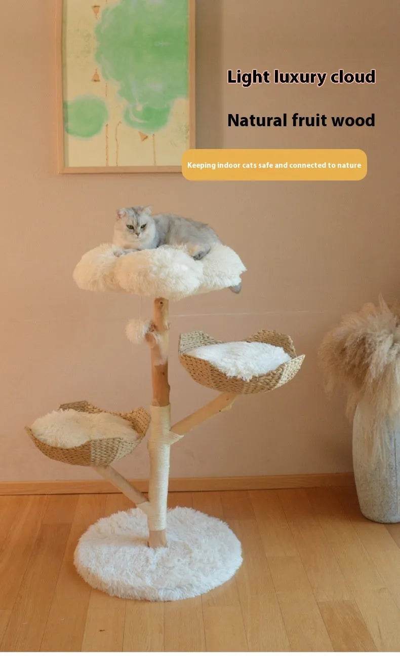 Natural Fruit Tree Cat Climbing Frame Solid Wood Rattan Cat Nest Cat Tree - www.Shopthatapp.com