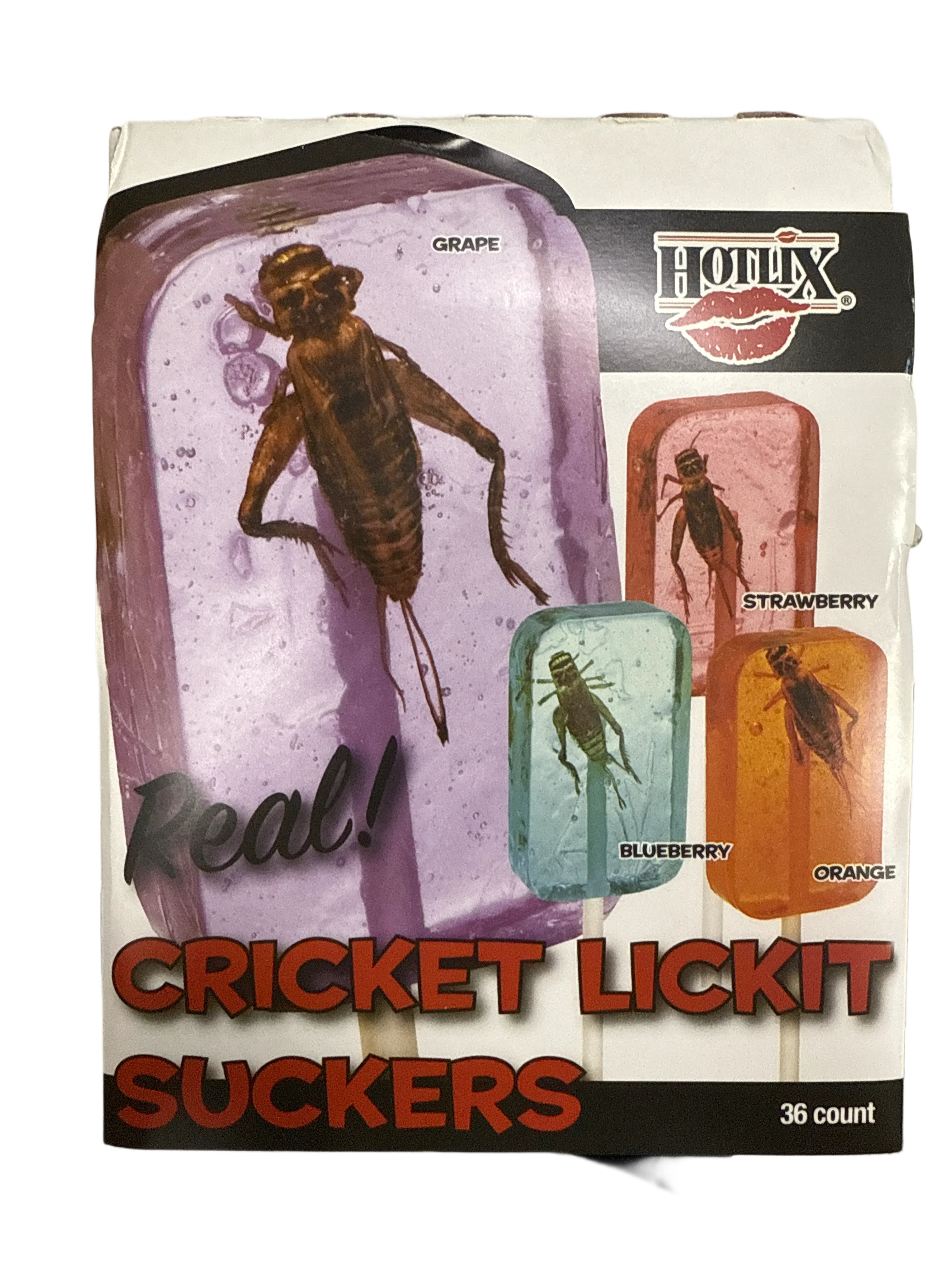Hotlix Halloween Real Cricket Suckers 31G - U.S Edition - www.Shopthatapp.com