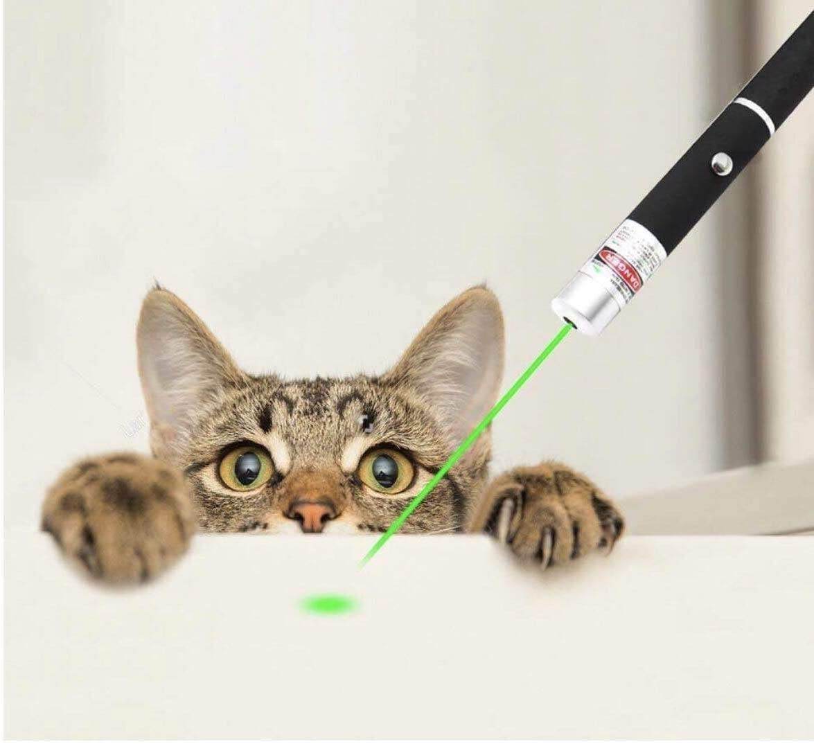 Pet Toy Green Laser Pointer Pen Light Single Beam High Power Lazer Flashlight 900Miles 1mW 532nm Torch - www.Shopthatapp.com