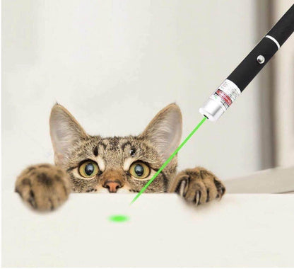 Pet Toy Green Laser Pointer Pen Light Single Beam High Power Lazer Flashlight 900Miles 1mW 532nm Torch - www.Shopthatapp.com