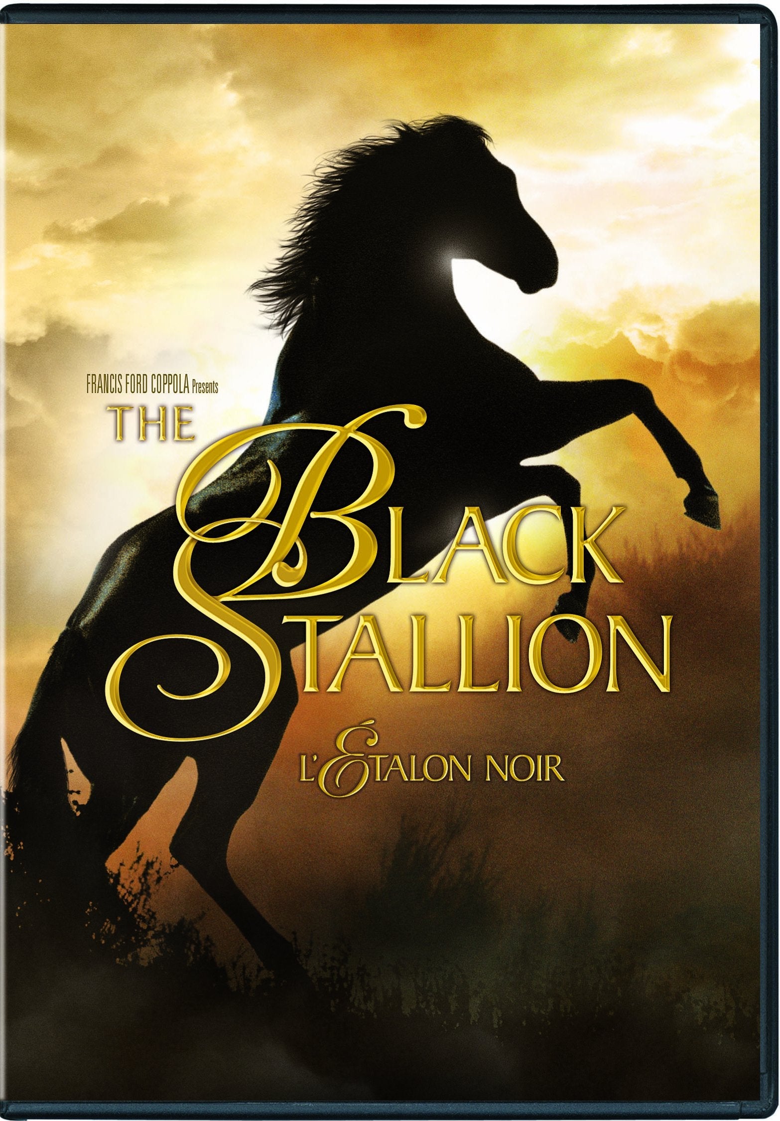 Black Stallion, The (Bilingual) - www.Shopthatapp.com
