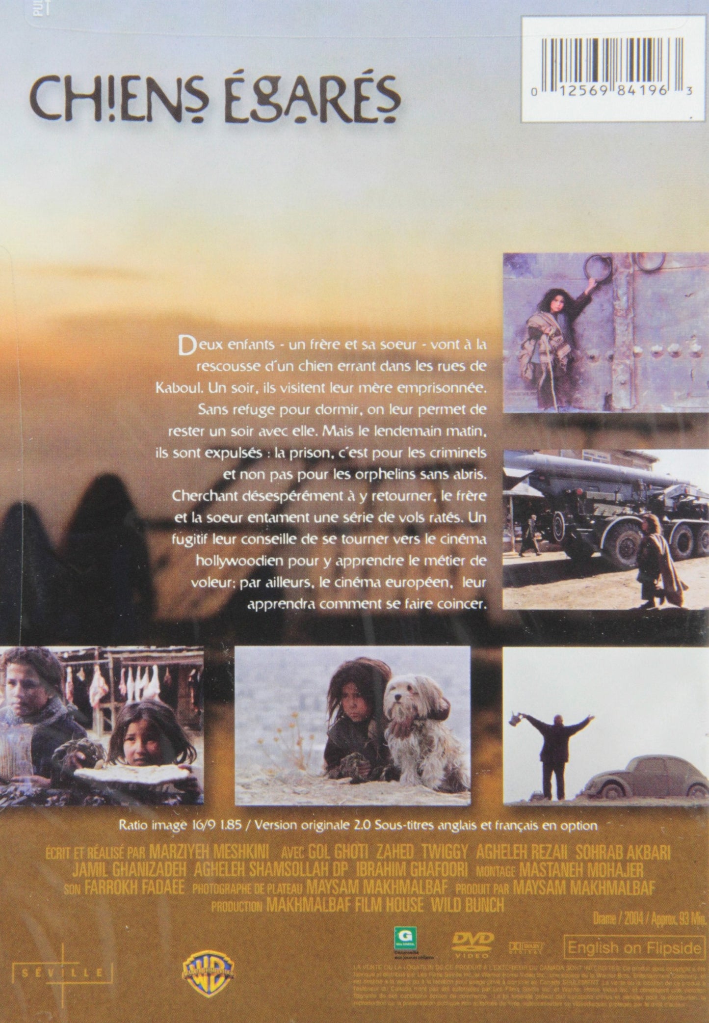 Chiens Égarés (Version française) - www.Shopthatapp.com