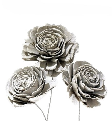 Sola Roses Grandes