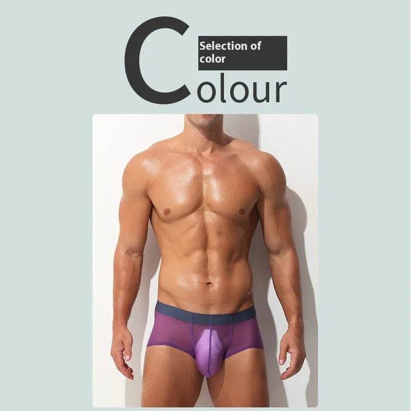 Underwear Men's Boxers Brief Ultra-thin Transparent Ice Silk Low Waist - www.Shopthatapp.com