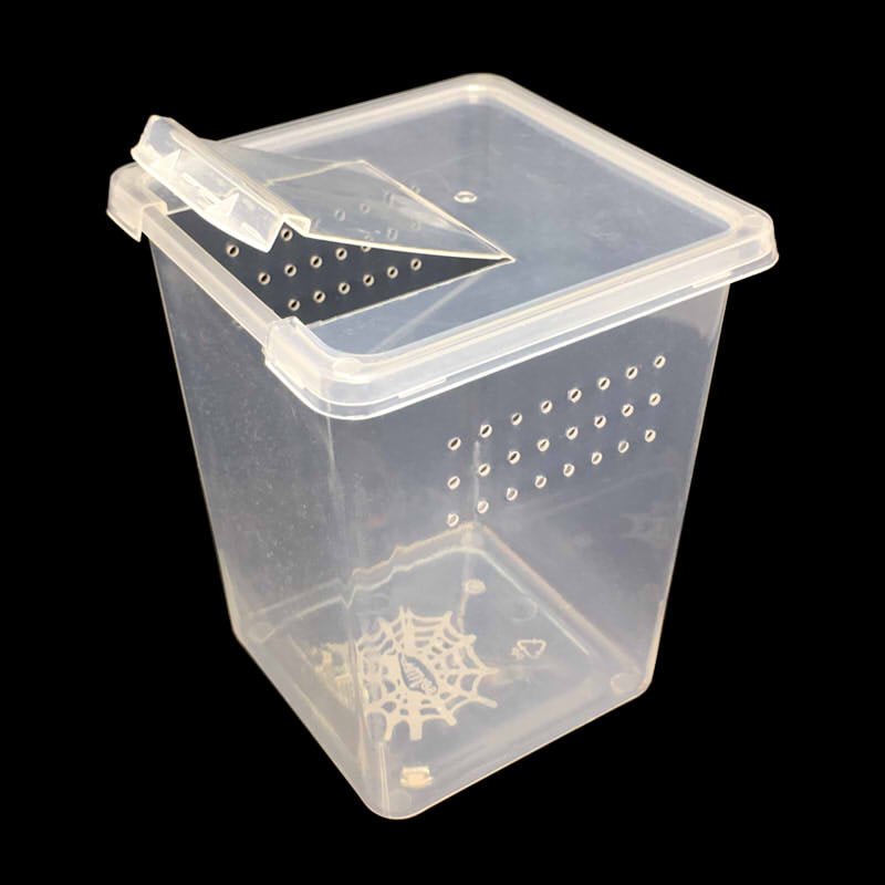 Spider Terrarium - Tall - www.Shopthatapp.com