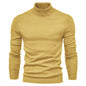 Men's Plain Slim Pullover Polo Sweatshirt Turtleneck Sweater Winter Casual Tops Men - www.Shopthatapp.com