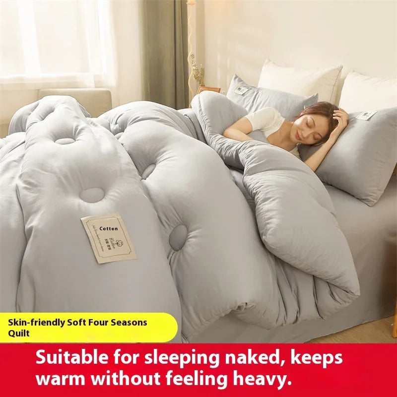 Airable Cover Double Thickened Cotton Duvet Insert - www.Shopthatapp.com