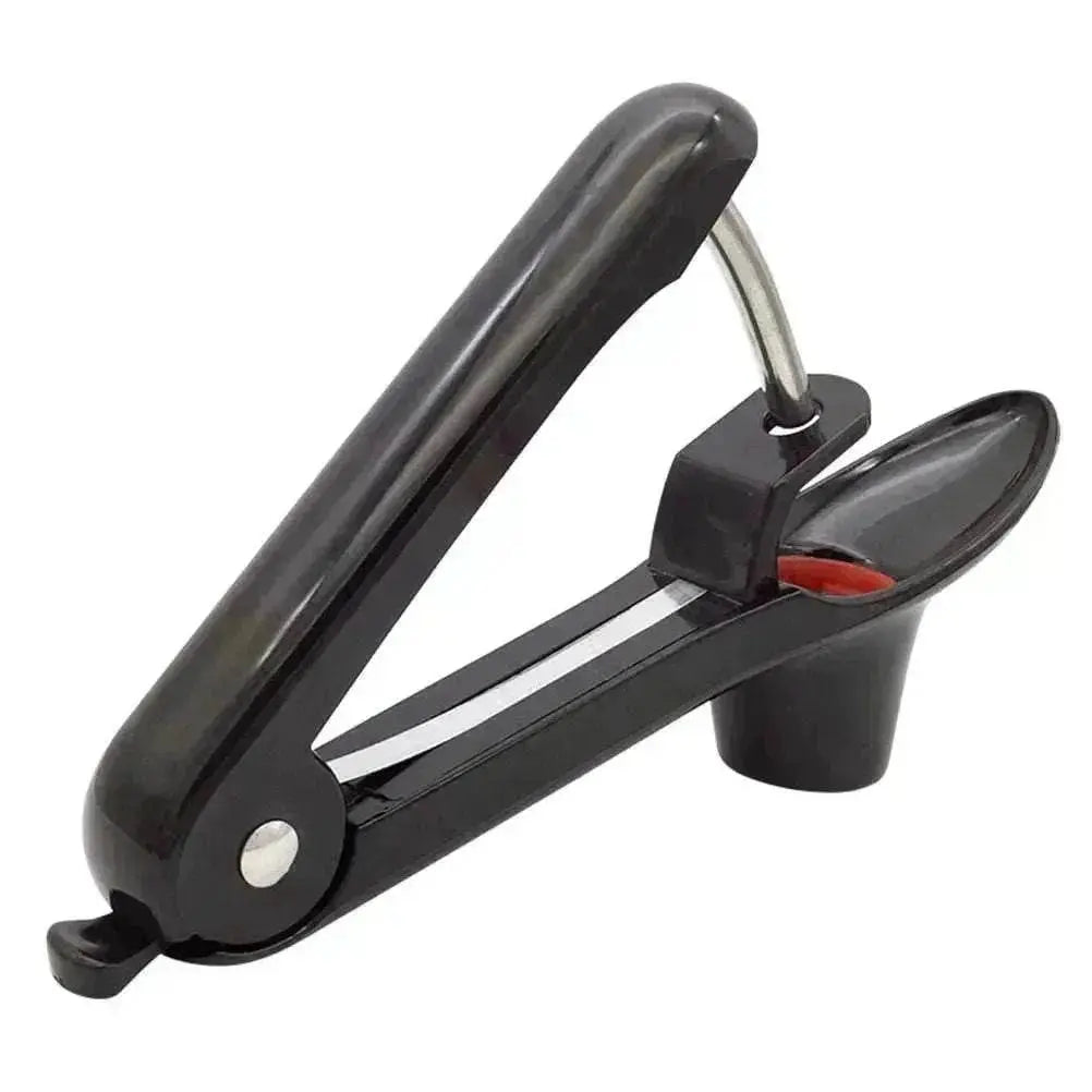 ABS Plastic Stainless Steel Fruit Core Puller