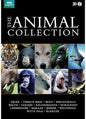BBC Earth / The Animal Collection - DVD - www.Shopthatapp.com