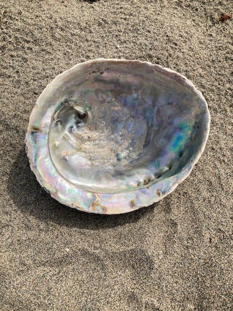 Plat à bijoux/à maculer en coquillage d'ormeau