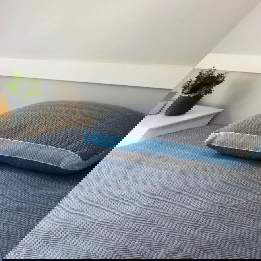 Active Charcoal Mattress Protector - Www.Shopthatapp.com