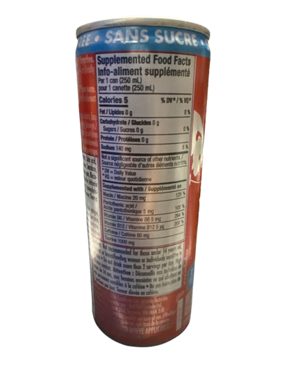 Red Bull Sugar Free Watermelon Flavour 250ML - Canadian Edition - www.Shopthatapp.com