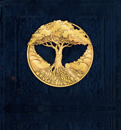 Bears of Legend / A Million Lives - CD - www.Shopthatapp.com