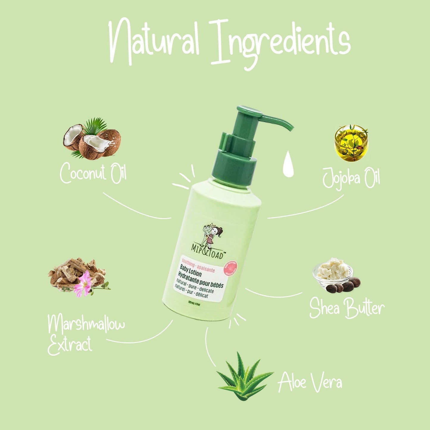 Baby Lotion - Www.Shopthatapp.com