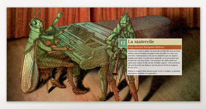 Belles bestioles - Livre+CD - www.Shopthatapp.com