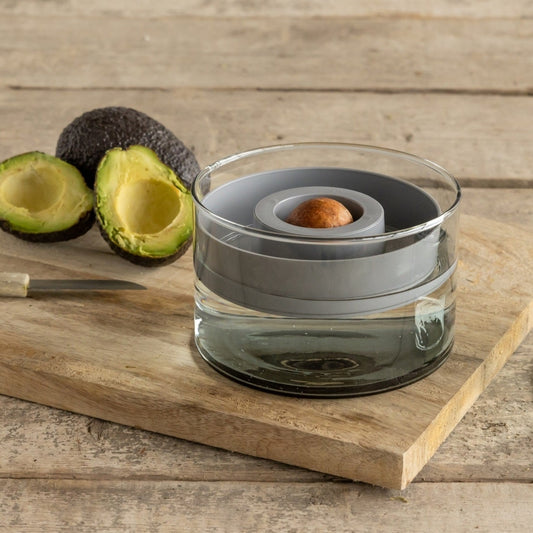 Avocado Grow Set - www.Shopthatapp.com