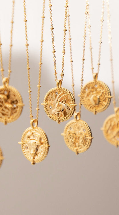 Capricorn Necklace - www.Shopthatapp.com
