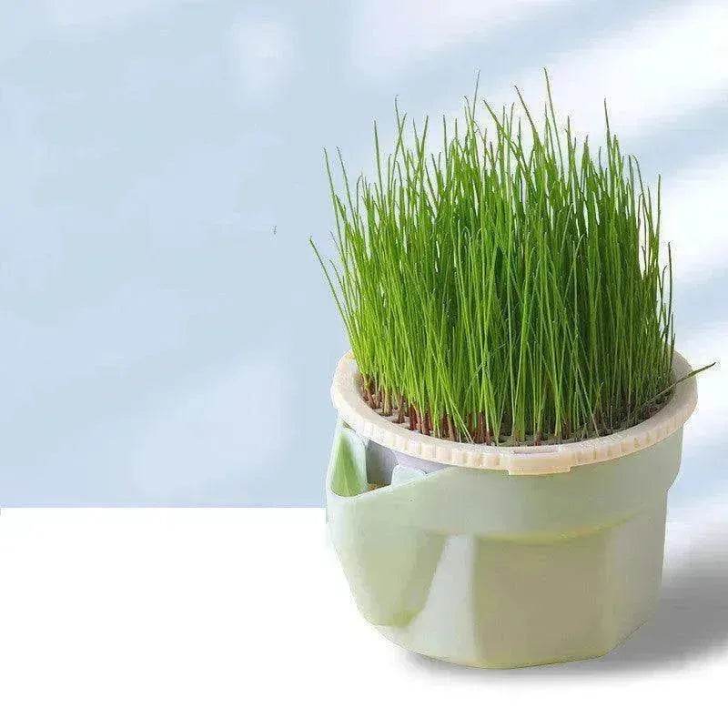 Cat Grass Cup Soilless Hydroponic Seed Spit Hair Ball Snacks - www.Shopthatapp.com