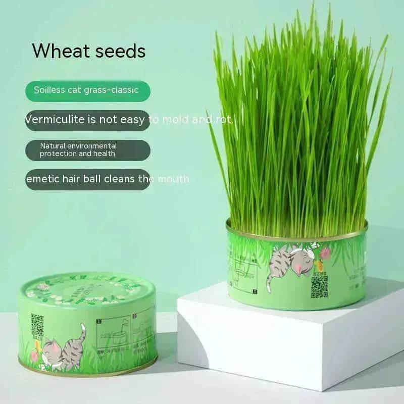 Cat Grass Cup Soilless Hydroponic Seed Spit Hair Ball Snacks - www.Shopthatapp.com