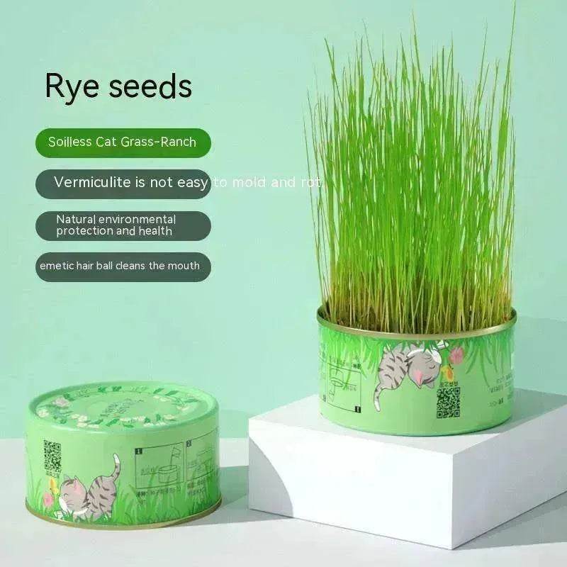 Cat Grass Cup Soilless Hydroponic Seed Spit Hair Ball Snacks - www.Shopthatapp.com