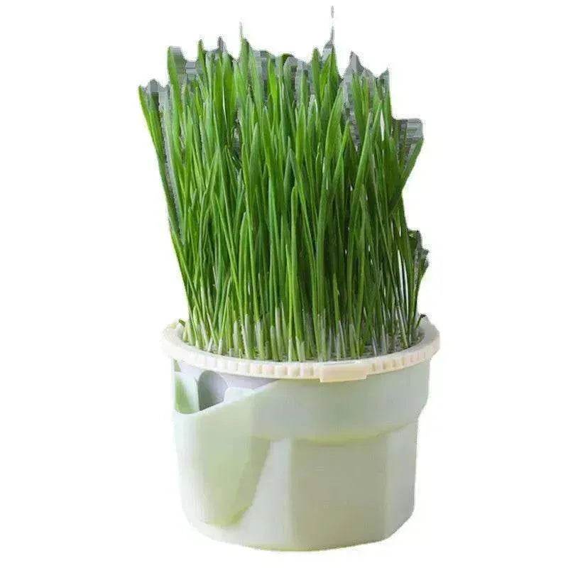 Cat Grass Cup Soilless Hydroponic Seed Spit Hair Ball Snacks - www.Shopthatapp.com