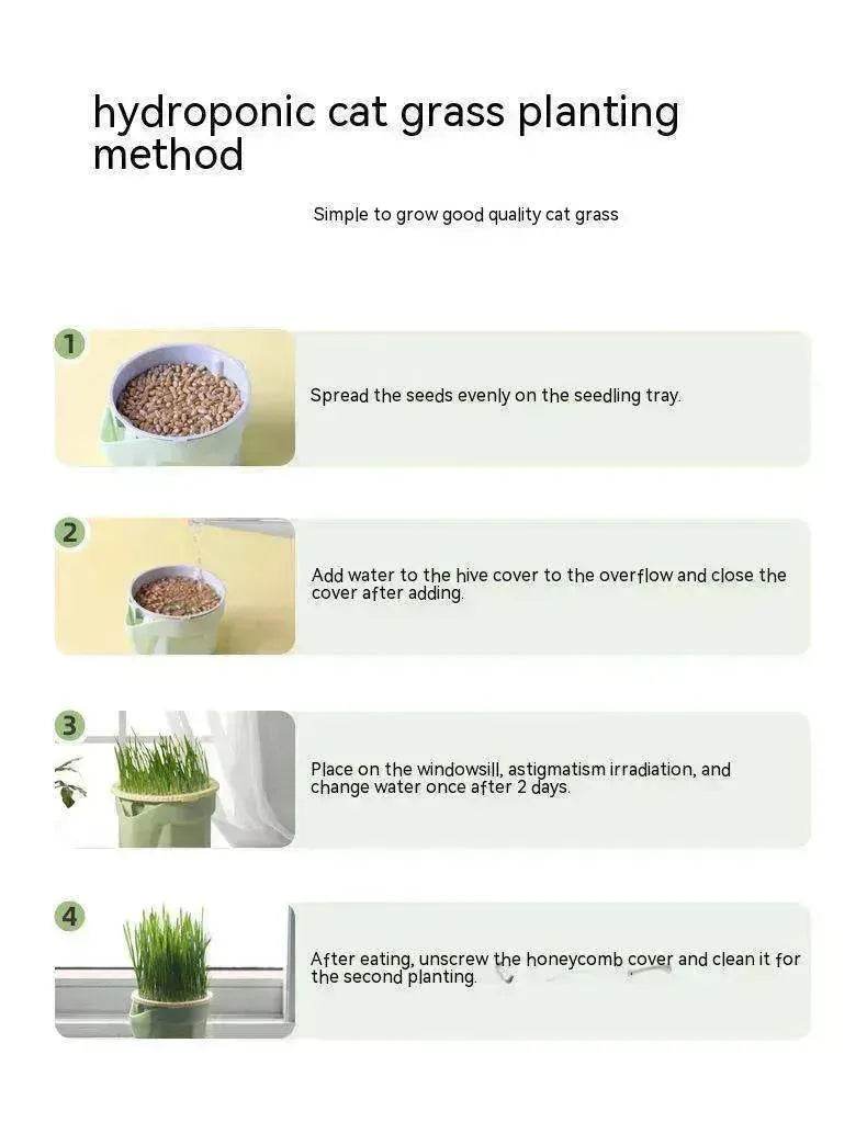 Cat Grass Cup Soilless Hydroponic Seed Spit Hair Ball Snacks - www.Shopthatapp.com