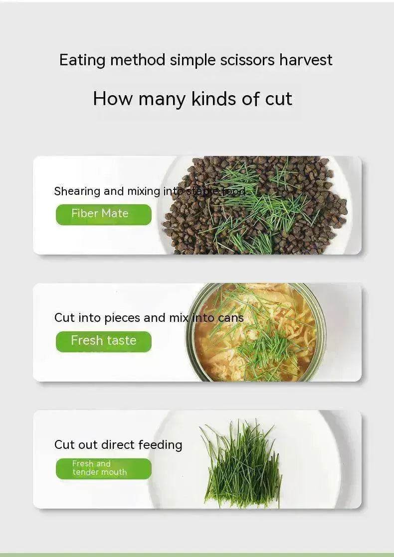 Cat Grass Cup Soilless Hydroponic Seed Spit Hair Ball Snacks - www.Shopthatapp.com