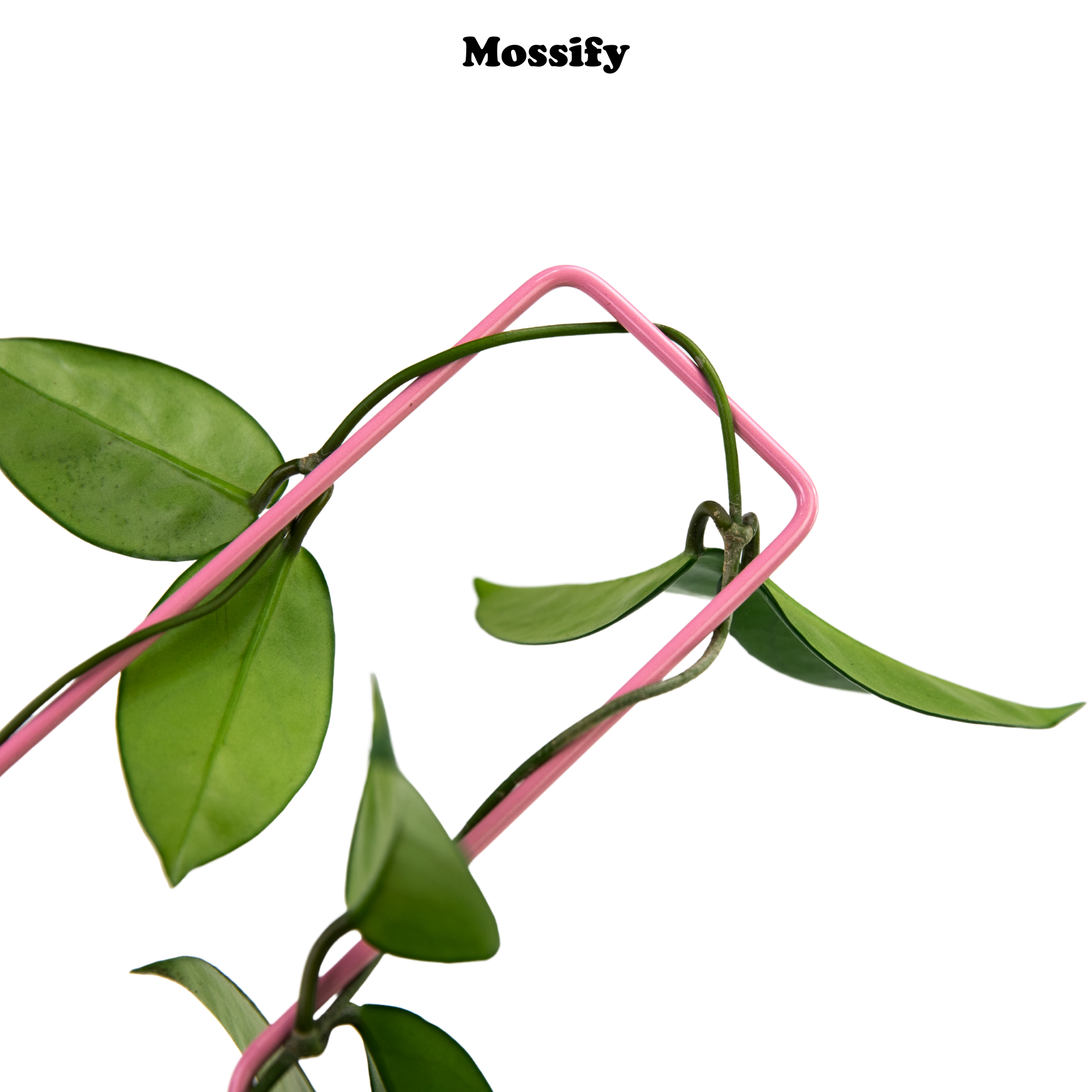 "Check Mark" Metal Trellis - www.Shopthatapp.com #