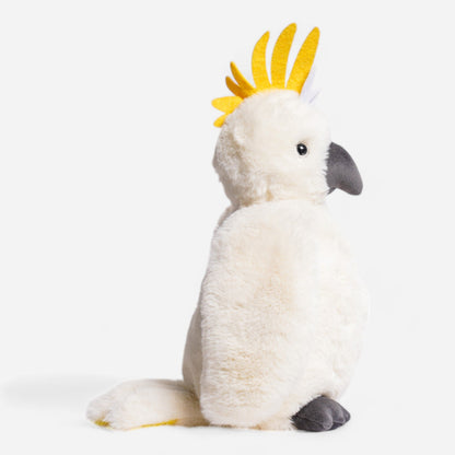 Cockatoo - www.Shopthatapp.com #
