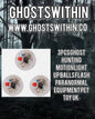 Lot de 3 boules lumineuses pour la chasse aux fantômes, équipement paranormal, jouet pour animaux de compagnie 