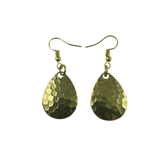 Colorado Hammered Polished Brass Spinner Blade Earrings