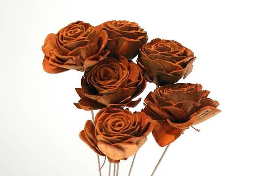 Sola Roses Small - www.Shopthatapp.com