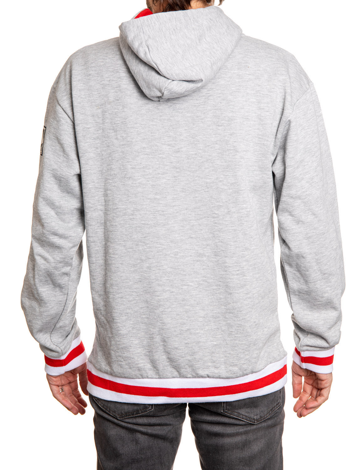 Detroit Red Wings "Muskoka Style" Premium Chenille Woven Logo Hoodie - www.Shopthatapp.com