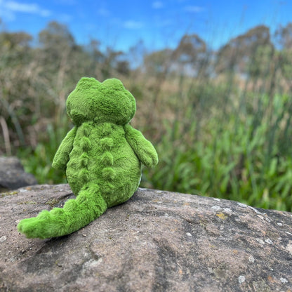 Crocodile