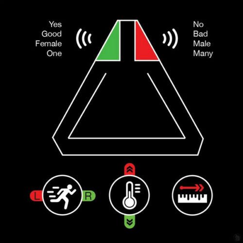 Flux 2 Response Device Answers Questions Paranormal Ghost Hunting Equipment - www.Shopthatapp.com #
