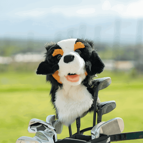 HEADCOVER DRIVER DAPHNES-Outdoor Sporting goods camping-www.Shopthatapp.com-Liquida Sport