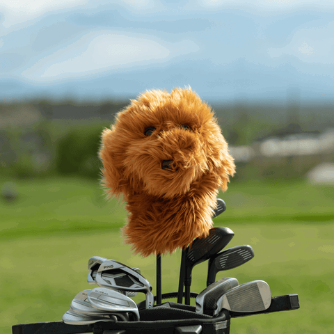 HEADCOVER DRIVER DAPHNES-Outdoor Sporting goods camping-www.Shopthatapp.com-Liquida Sport