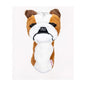 HEADCOVER DRIVER DAPHNES-Outdoor Sporting goods camping-www.Shopthatapp.com-Liquida Sport