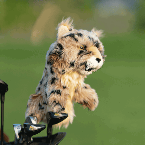 HEADCOVER DRIVER DAPHNES-Outdoor Sporting goods camping-www.Shopthatapp.com-Liquida Sport