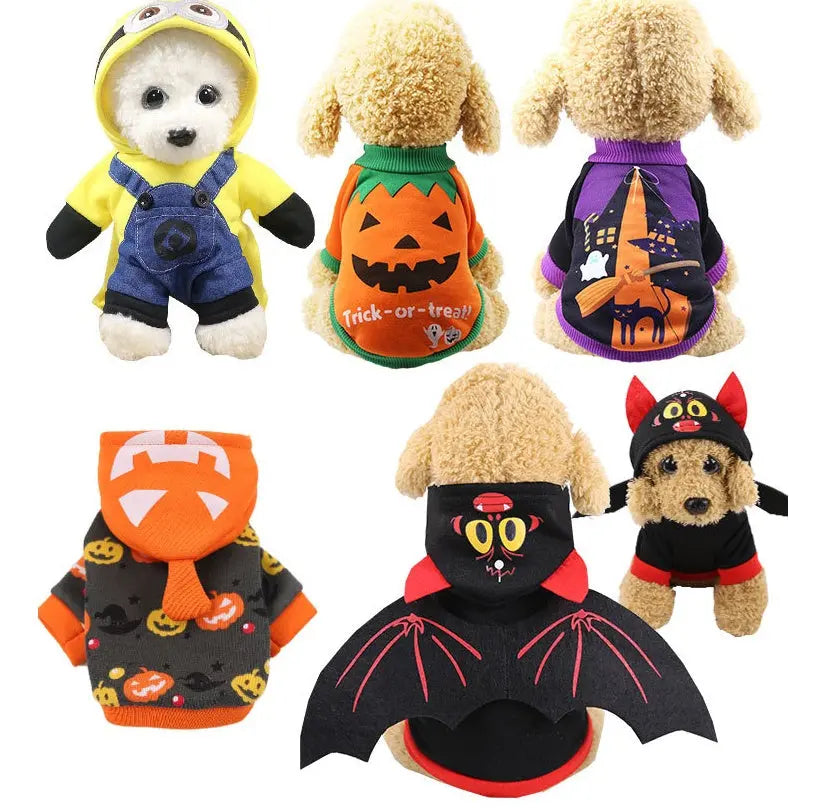 Halloween funny pet clothes - www.Shopthatapp.com